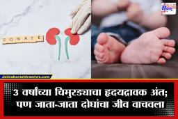 Organ Donation : चिमुरड्याचा अपघाती अंत; जाता-जाता पालकांच्या मोठ्या निर्णयाने 4 जणांना मिळाले नवीन आयुष्य