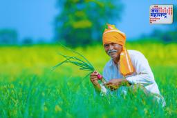 PM Kisan Scheme : शेतकऱ्यांना दिलासा! पीएम किसान योजनेच्या 21व्या हप्त्याची रक्कम ‘या’ दिवशी जमा होईल