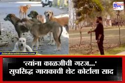 Stray Dogs Issue: भटक्या कुत्र्यांचा वाद पेटलेला असतानाच मोठी घोषण! सुप्रसिद्ध गायक देणार 10 एकर जमीन; नेमकं प्रकरण काय?