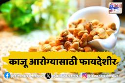 काजू खा आणि डोळे निरोगी ठेवा