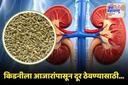 Kidney Health: तुमच्या किडनीला आजारांपासून दूर ठेवण्यासाठी ‘हा’ पदार्थ नक्की खा
