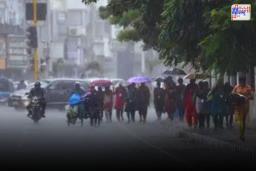 Mumbai Weather: आज मुंबईत मुसळधार पाऊस पडेल का?, आयएमडीने वर्तवला हवामान अंदाज