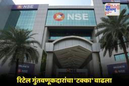 Domestic Stock Market: शेअर बाजारात ‘पैशांचा पाऊस’! चालू वर्षात ‘हे’ क्षेत्र ठरले सर्वाधिक पॉवरफुल; पाहा NSE चा रिपोर्ट