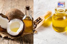Coconut & Castor Oil : मुलायम आणि मजबूत केसांसाठी कोणतं तेल फायदेशीर? नारळाचे तेल किंवा एरंडेल तेल? जाणून घ्या
