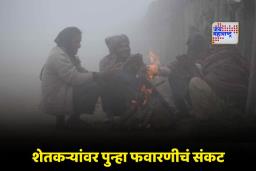 IMD Weather Update : राज्यात थंडीचा कडाका वाढला; कांदा पिकावर ‘या’ रोगाचं सावट