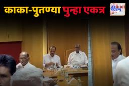 अजित पवार आणि शरद पवारांच्या भेटीमागचं गुपित काय?