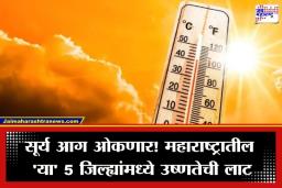 Heatwave Alert: महाराष्ट्र होरपळणार! विदर्भात पारा 43 अंशांवर, तर मुंबई-कोकणात वाढणार उकाडा; हवामान विभागाचा ‘यलो अलर्ट’