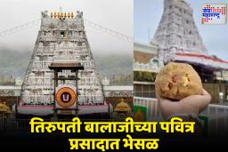 Tirupati Prasad: तिरुपती लाडू घोटाळा! प्रसिद्ध प्रसादात ‘केमिकल तूप’, सीबीआयच्या तपासात 250 कोटींचा फसवणुकीचा पर्दाफाश