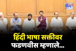 ‘हिंदी भाषेसंदर्भात काढलेले दोन्ही शासन निर्णय रद्द’; फडणवीसांचा मोठा निर्णय