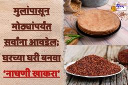 Ragi Khakhra Recipe: डाएट करणाऱ्यांसाठी बेस्ट! कमी तेलात तयार करा कुरकुरीत नाचणीचा खाकरा