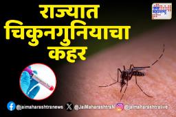 चिकुनगुनियाच्या रुग्णसंख्येत झाली दुपटीने वाढ: उपाययोजनांची गरज!"