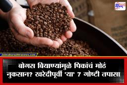 Seed Quality: बोगस बियाणं ओळखायचं कसं? पेरणीपूर्वी घरच्या घरी करा ‘ही’ सोपी चाचणी