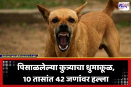Stray Dog Attack: मोकाट कुत्र्याचा थरार! अवघ्या 10 तासांत 42 जणांना घेतला चावा; 8 किमी परिसरात प्रचंड दहशत