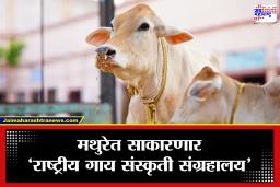 India’s First Cow Culture Museum: मथुरेच्या वैभवात भर! देशातील पहिले ‘राष्ट्रीय गाय संस्कृती संग्रहालय’ मंजूर; विज्ञानाच्या नजरेतून उलगडणार गोमातेचा महिमा