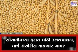 Soyabean Price Update: शेतकऱ्यांसाठी मोठी अपडेट, सोयाबीनच्या दरात एप्रिलमध्ये होणार भाववाढ? जाणून घ्या आताचे ताजे दर