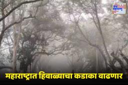 Cold Wave Alert: थंडीचा जोर वाढणार! उत्तरेकडील शीतलहरींचा महाराष्ट्राला फटका, विदर्भ-उत्तर महाराष्ट्रात गारठा तीव्र