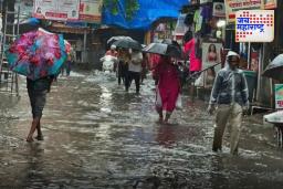 Weather Update: राज्यात पावसाचा जोर वाढणार, हवामान खात्याने दिला इशारा; 14 जिल्ह्यांसाठी हायअलर्ट जारी