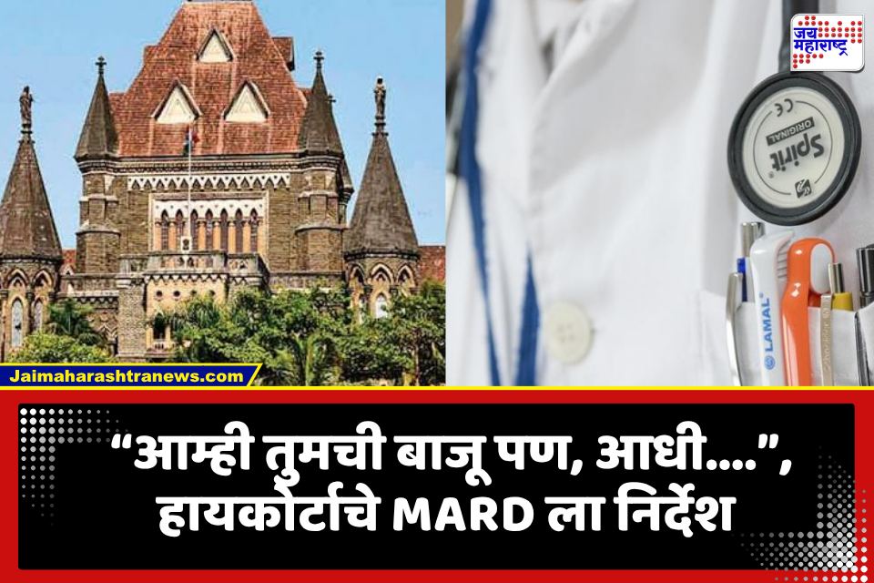 High Court on Doctors Stirke: ‘संप तातडीने मागे घ्या…’, डॉक्टरांच्या संपावर हायकोर्टाचे निर्देश, सुनावले खडे बोल