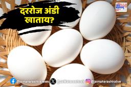 दररोज अंडी खाणं शरीरासाठी चांगले की वाईट