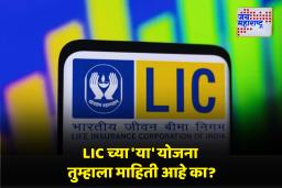 LIC New Scheme 2025 : एलआयसीच्या दोन नवीन योजना ठरणार महिलांसाठी आणि कमी उत्पन्न गटासाठी लाभदायी