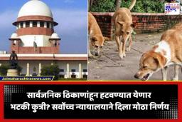 SC On Stray Dogs: सर्वोच्च न्यायालयाचा श्वानप्रेमींना मोठा झटका; सार्वजनिक ठिकाणांहून मोकाट कुत्र्यांना हटवण्याचे आदेश कायम