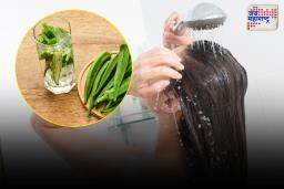 Hair Care: भेंडीचे केसांसाठी असणारे ‘हे’ फायदे तुम्हाला माहिती आहेत का?