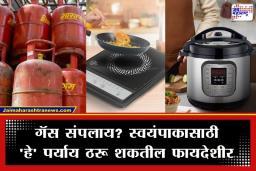 LPG Gas Alternatives: आता स्वयंपाकासाठी गॅसची गरज नाही; ‘हे’ 5 पर्याय ठरतील इंधन टंचाईवर स्मार्ट तोडगा