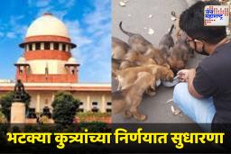 Suprime Court On Stray Dog : ‘भटक्या कुत्र्यांना निवारा केंद्रातून सोडा, त्यांना रस्त्यावर खायला घालू नका’; सर्वोच्च न्यायालयाचे नवे निर्देश