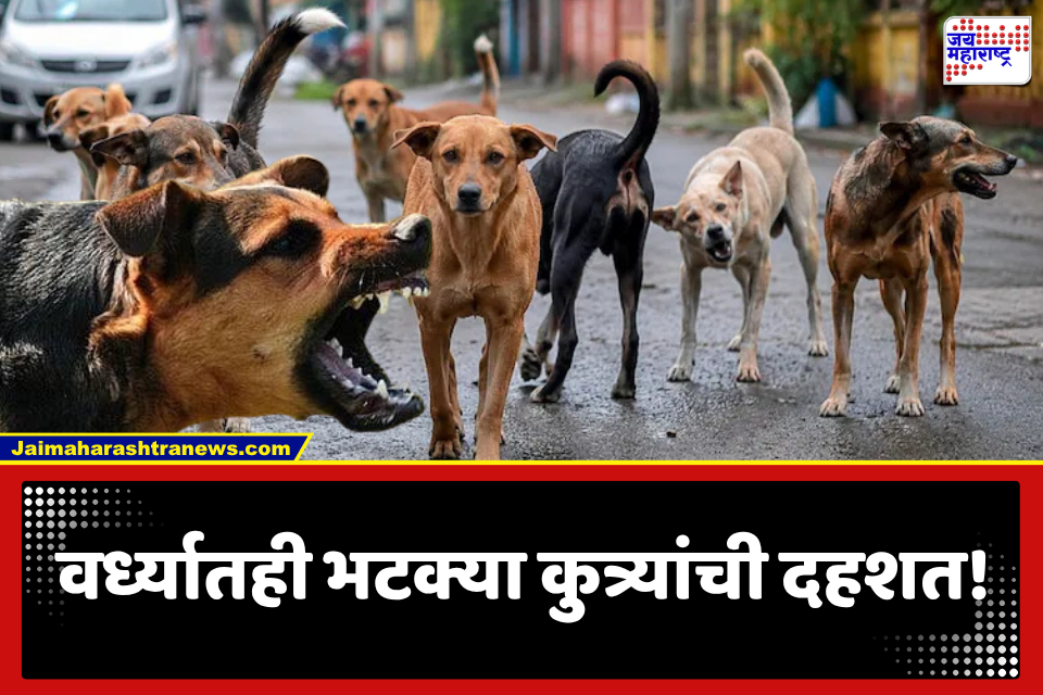 Stray Dog In Wardha : वर्ध्यातही भटक्या कुत्र्यांचा प्रश्न पुन्हा ऐरणीवर; 19 जणांचा चावा, नागरिकांमध्ये भीती