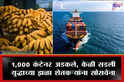 Banana Export Crisis : इराण युद्धस्थितीचा शिपिंग कंपन्यांकडून गैरफायदा; अव्वाच्या सव्वा दरवाढ लादल्याने शेतकरी-व्यापाऱ्यांचे मोठे नुकसान