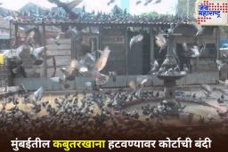 BMC ला झटका! कबुतरखाना हटवण्यावर कोर्टाची बंदी