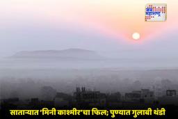 Maharashtra Weather News: राज्यात पारा घसरला ; चार जिल्हे गारठणार, हवामान विभागाचा इशारा
