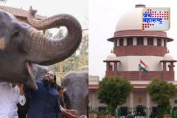 Supreme Court On Vantara : वनताराला सर्वोच्च न्यायालयाचा झटका,  एसआयटी स्थापन करण्याचे आदेश