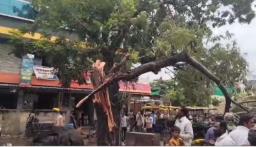 अवकाळीचं थैमान