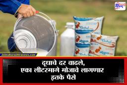 Gokul Milk Price Hike : सामान्यांना दिलासा नाहीच! अमूलपाठोपाठ गोकुळनेही केली दुधाच्या किंमतीत वाढ, लीटरमागे तब्बल…