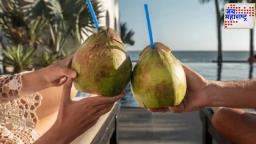 how to choose good coconut : नारळात पाणी जास्त की मलाई?, ‘या’ सोप्या ट्रिक्सनं सहज ओळखा