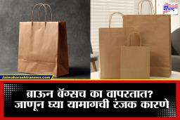 Shopping Bags: इतके आकर्षक रंग असताना शॉपिंग बॅग्स नेहमी ब्राऊनच का असतात? कारण वाचून थक्क व्हाल