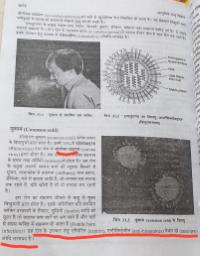 आता विज्ञानाच्या पुस्तकात कोरोनावर धडा