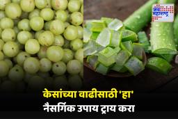 Hair Growth Tips : केसांच्या वाढीसाठी ‘आवळा’ आणि ‘अ‍ॅलोव्हेरा’ ठरणार लाभदायक; जाणून घ्या