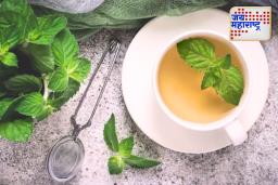 Mint Water Benefits: त्वचा आणि शरीरासाठी सुपरड्रिंक; जाणून घ्या पुदिनाच्या पाण्याचे ‘हे’ 7 अद्भुत फायदे