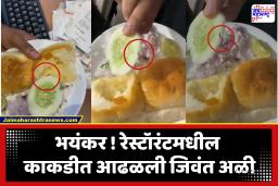 Pune : ग्राहकांच्या जीवाशी खेळ! मागितली पावभाजी, ताटात आली जिवंत अळी असलेली काकडी; अन्न सुरक्षेवर प्रश्नचिन्ह