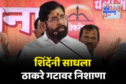 वाघाचं कातडं घालून कुणी वाघ होत नाही; एकनाथ शिंदेंचा ठाकरे गटावर निशाणा