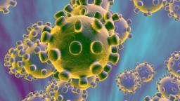 #Coronavirus : देश कम्युनिटी ट्रान्समिशनच्या टप्प्यावर जाण्यापासून वाचवण्यासाठी…