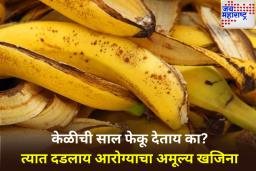 Banana Peel Benefits: केळीच्या सालीत दडलं आहे नैसर्गिक पोषण; संशोधकांनी केला ‘हा’ खुलासा