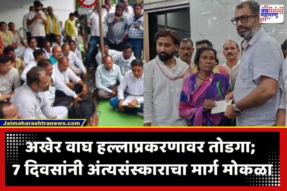 Wardha Tiger Attack :  वाघाच्या हल्ल्यात मृत्यू झालेल्या शेतकऱ्यावर अखेर 7 दिवसांनंतर अंत्यसंस्कार; कुटुंबीयांची प्रशासनाच्या विनंतीला सहमती
