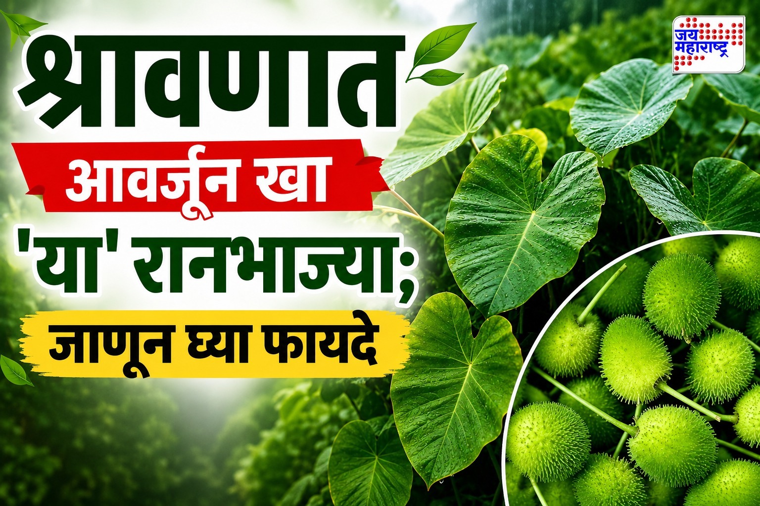 Shravan Special Vegetables : श्रावणात आवर्जून खा ‘या’ रानभाज्या; जाणून घ्या फायदे