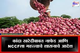 Onion Farmers : कांदा उत्पादकांना मोठा दिलासा! थेट बाजार समित्यांमधून होणार कांदा खरेदी