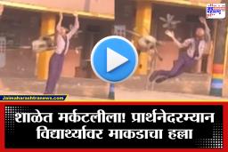 Nandurbar News: नंदुरबार जिल्ह्यातील शाळांमध्ये माकडांचा उच्छाद; विद्यार्थी-शिक्षकांवर हल्ले, पालक भयभीत