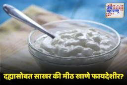 Health Tips: दह्यात साखर मिसळून खावे की मीठ, जाणून घ्या दही खाण्याची योग्य पद्धत