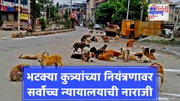 Supreme Court Warning: सर्वोच्च न्यायालयाने भटक्या कुत्र्यांच्या नियंत्रणाबाबत राज्यांना फटकारले; तातडीने अहवाल सादर करण्याचे दिले आदेश